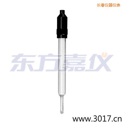 長(zhǎng)春玻璃外殼無(wú)溫補(bǔ)兩線電導(dǎo)率電極