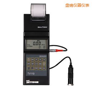 盤錦時(shí)代便攜式測振儀