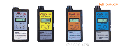 咸陽(yáng)氣體檢測(cè)報(bào)警儀