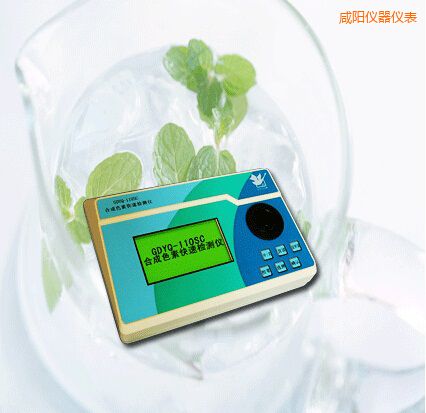 咸陽合成色素快速檢測(cè)儀