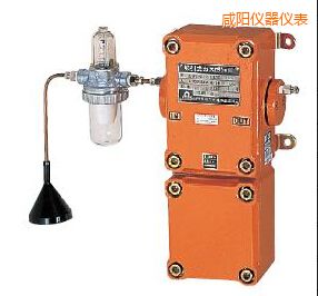 ���(y��ng)�̶�ʽ��ȼ?x��)��w�z�y(c��)�x