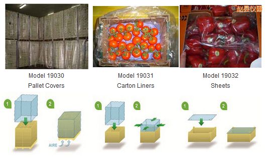 �w�hPrimePro EAP ��ϩ�������b [EAP]