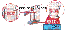 中衛(wèi)先進型天平,3100g,0.01g